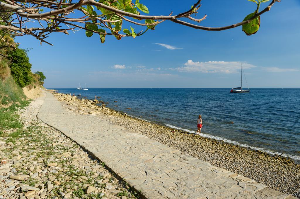 Sea View Guesthouse Opara Piran Ngoại thất bức ảnh