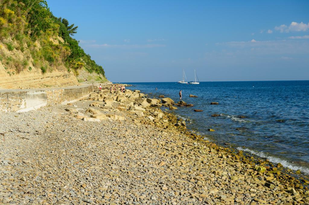 Sea View Guesthouse Opara Piran Ngoại thất bức ảnh